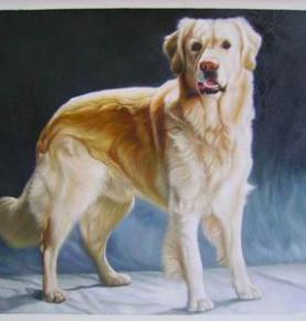 Pet Portrait, Custom Oil Portrait, Pet Oil Painting, Original Hand Painted Oil Paintings From Photos