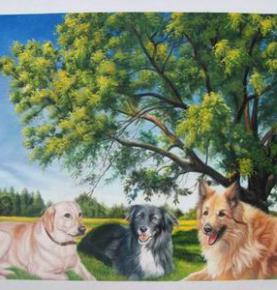 Pet Portrait, Custom Oil Portrait, Pet Oil Painting, Original Hand Painted Oil Paintings From Photos