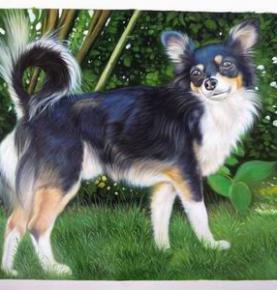 Pet Portrait, Custom Oil Portrait, Pet Oil Painting, Original Hand Painted Oil Paintings From Photos