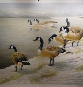 Animals Painting, Original art, Custom Hand Painted Oil Painting reproductions From Photos